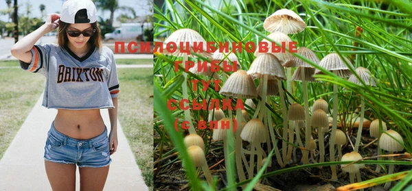 spice Балахна